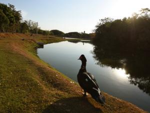 Lagoa do Parque do Jambeiro: novo horário de abertura a partir do dia 12 de setembro